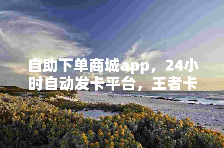 自助下单商城app，24小时自动发卡平台，王者卡盟优惠购。