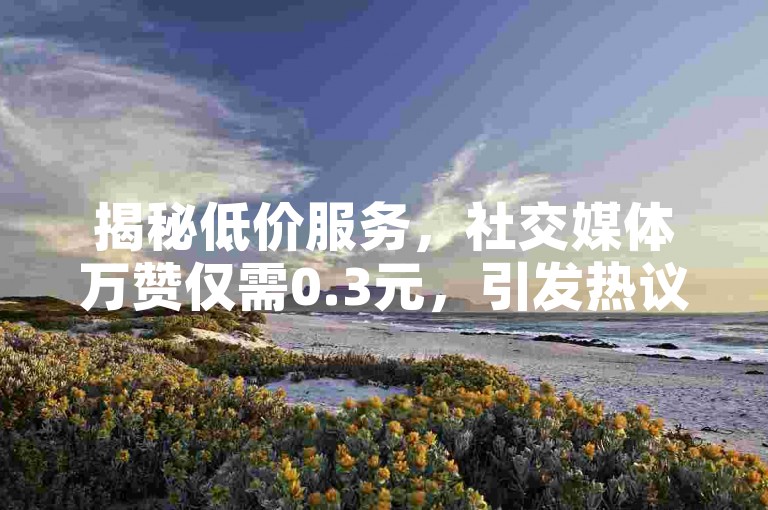 揭秘低价服务，社交媒体万赞仅需0.3元，引发热议。