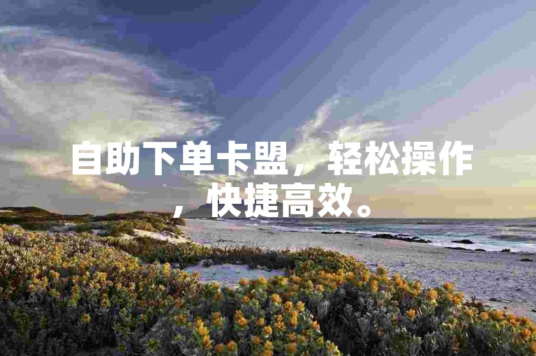 自助下单卡盟，轻松操作，快捷高效。