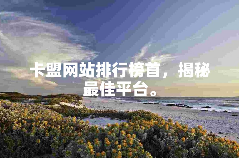 卡盟网站排行榜首，揭秘最佳平台。