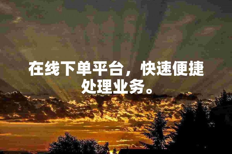 在线下单平台，快速便捷处理业务。