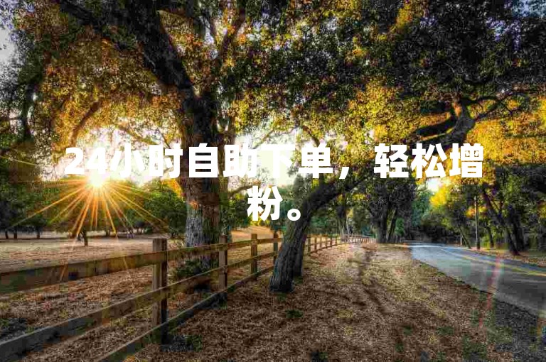 24小时自助下单，轻松增粉。
