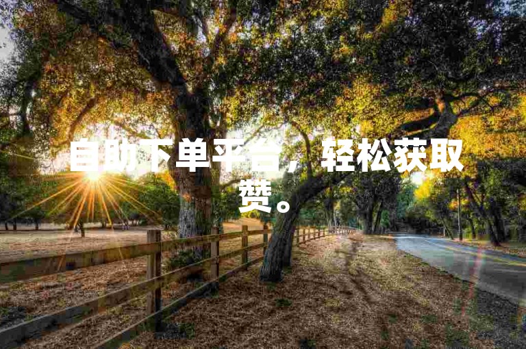 自助下单平台，轻松获取赞。