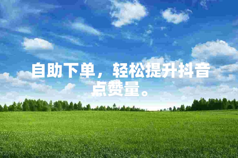 自助下单，轻松提升抖音点赞量。