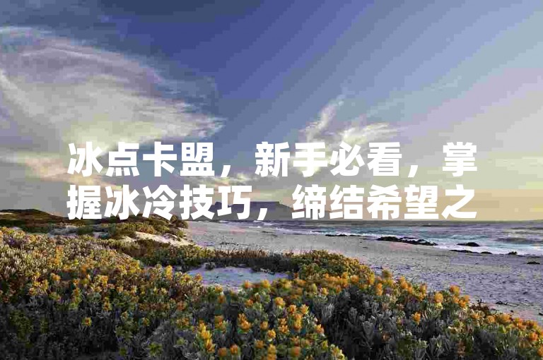 冰点卡盟，新手必看，掌握冰冷技巧，缔结希望之约！