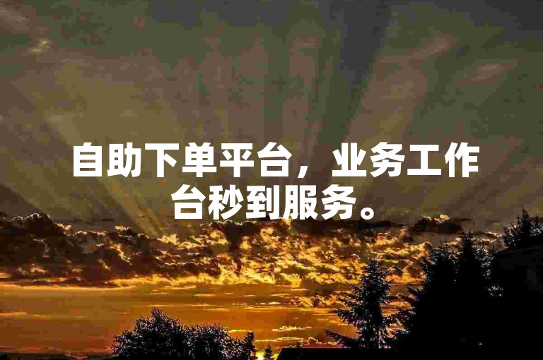 自助下单平台，业务工作台秒到服务。