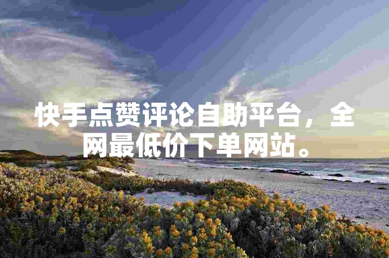 快手点赞评论自助平台，全网最低价下单网站。