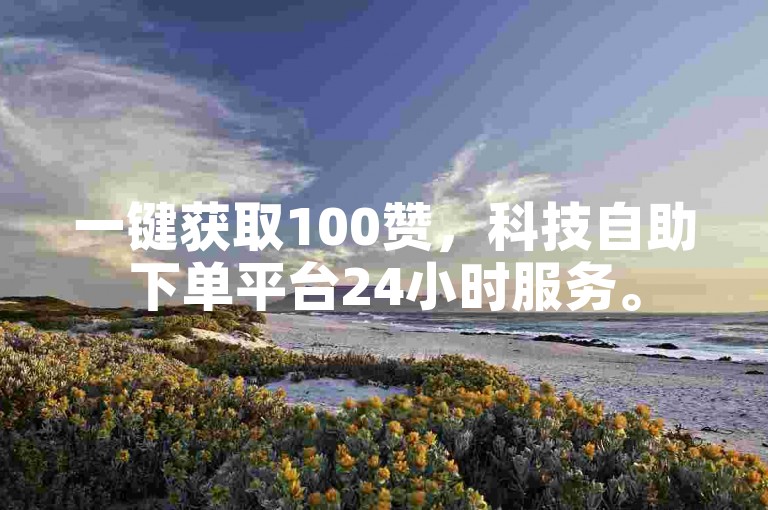 一键获取100赞，科技自助下单平台24小时服务。