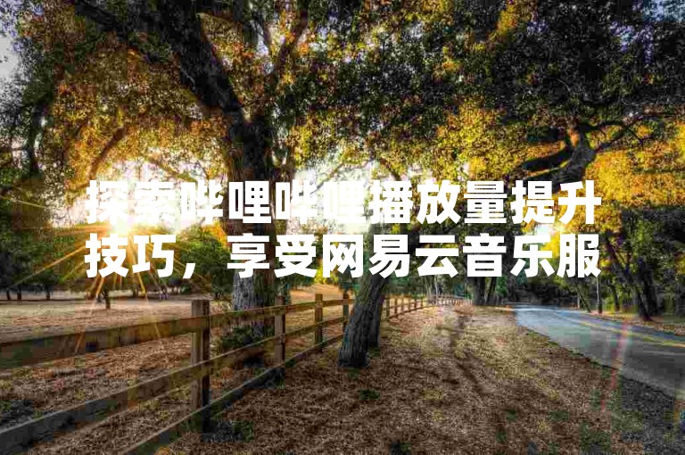 探索哔哩哔哩播放量提升技巧，享受网易云音乐服务。