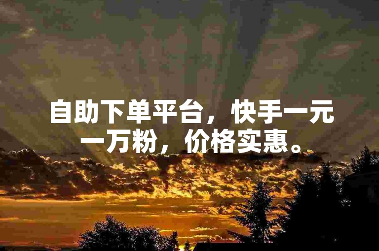 自助下单平台，快手一元一万粉，价格实惠。
