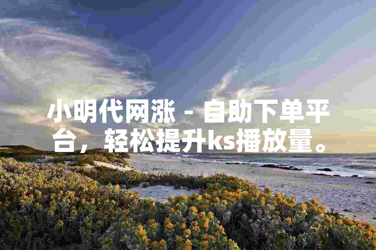 小明代网涨 - 自助下单平台，轻松提升ks播放量。