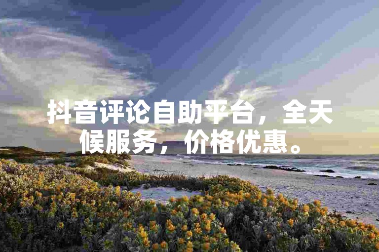 抖音评论自助平台，全天候服务，价格优惠。