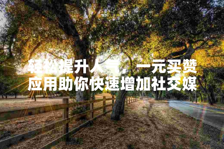 轻松提升人气，一元买赞应用助你快速增加社交媒体关注！