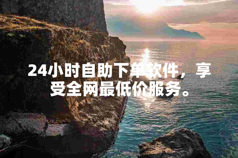 24小时自助下单软件，享受全网最低价服务。