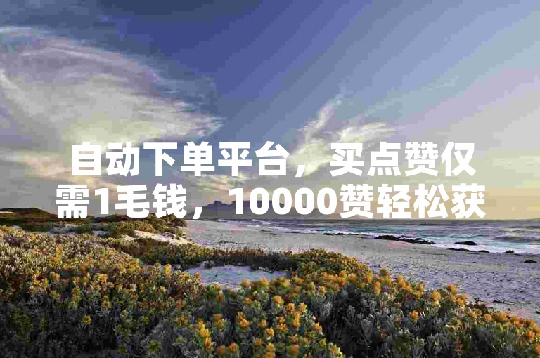 自动下单平台，买点赞仅需1毛钱，10000赞轻松获取。