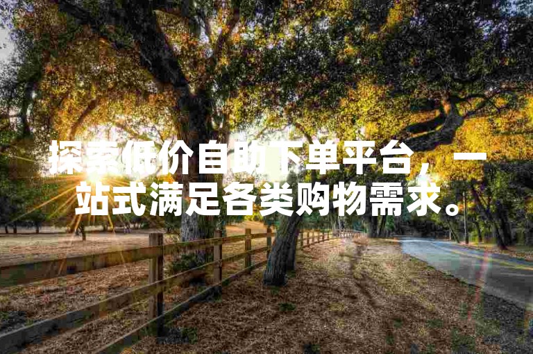 探索低价自助下单平台，一站式满足各类购物需求。