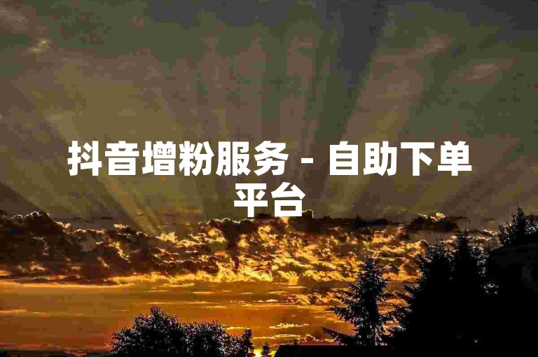 抖音增粉服务 - 自助下单平台