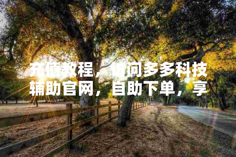 充值教程，访问多多科技辅助官网，自助下单，享受24小时服务。