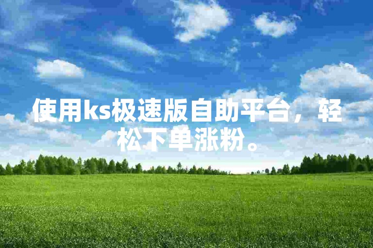 使用ks极速版自助平台，轻松下单涨粉。