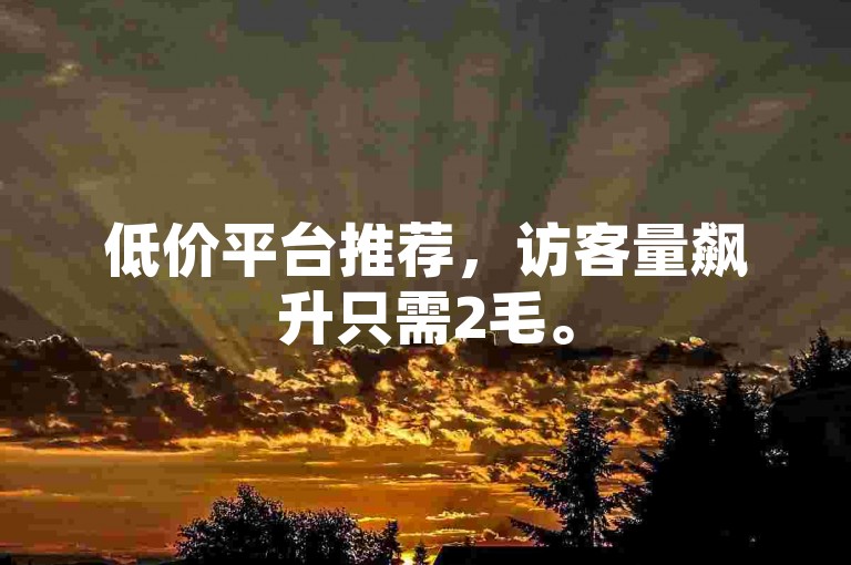 低价平台推荐，访客量飙升只需2毛。