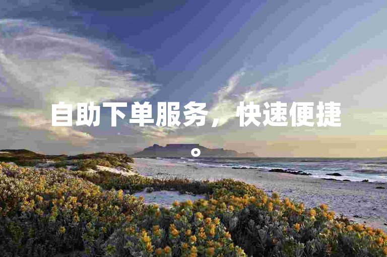 自助下单服务，快速便捷。