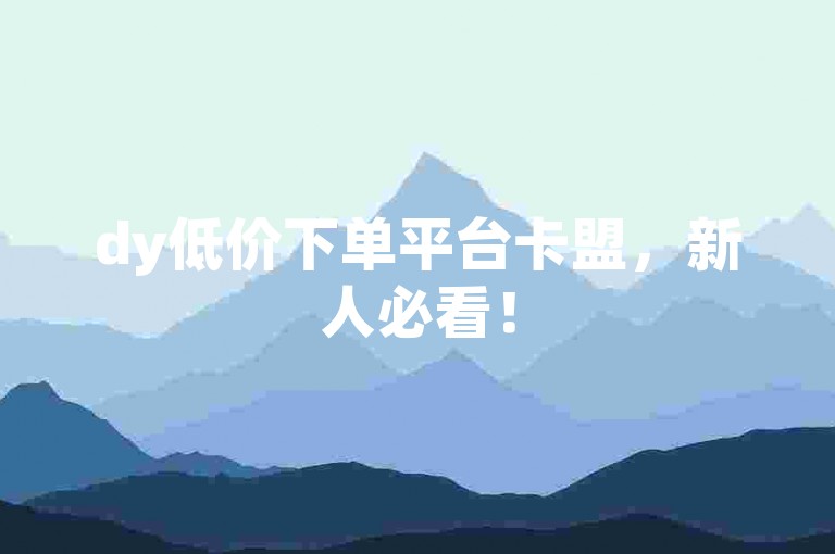 dy低价下单平台卡盟，新人必看！