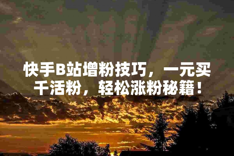 快手B站增粉技巧，一元买千活粉，轻松涨粉秘籍！