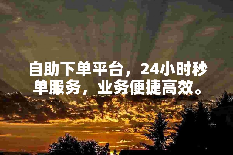 自助下单平台，24小时秒单服务，业务便捷高效。