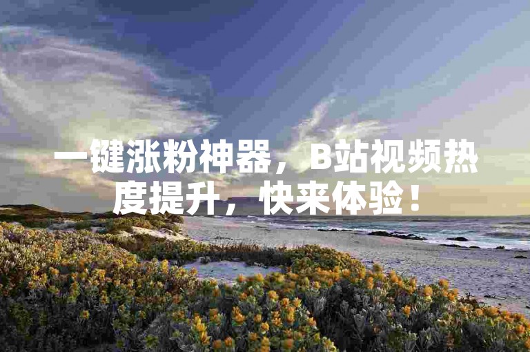 一键涨粉神器，B站视频热度提升，快来体验！