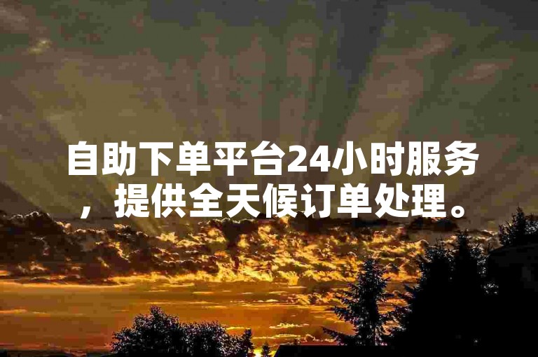 自助下单平台24小时服务，提供全天候订单处理。