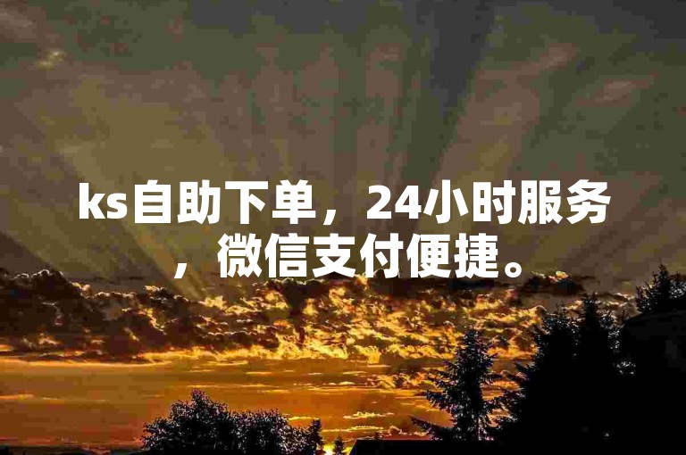 ks自助下单，24小时服务，微信支付便捷。