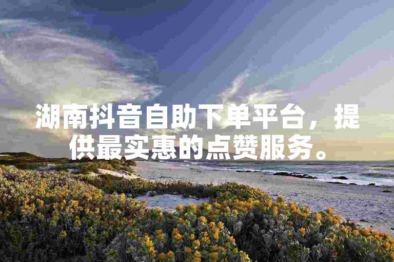 湖南抖音自助下单平台，提供最实惠的点赞服务。