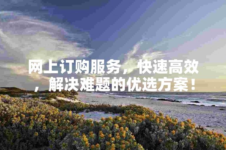 网上订购服务，快速高效，解决难题的优选方案！
