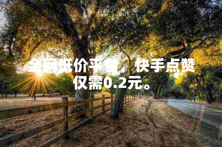 全网低价平台，快手点赞仅需0.2元。