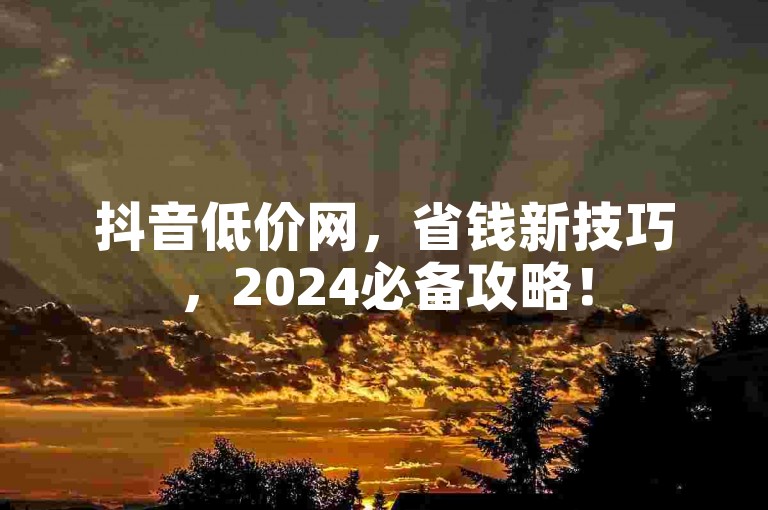 抖音低价网，省钱新技巧，2024必备攻略！