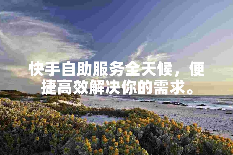 快手自助服务全天候，便捷高效解决你的需求。