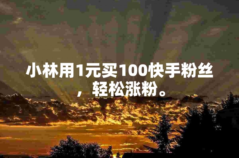 小林用1元买100快手粉丝，轻松涨粉。