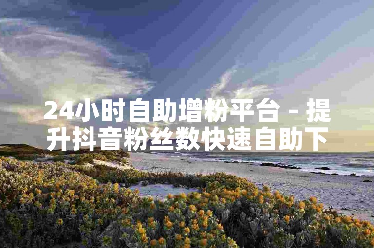 24小时自助增粉平台 - 提升抖音粉丝数快速自助下单