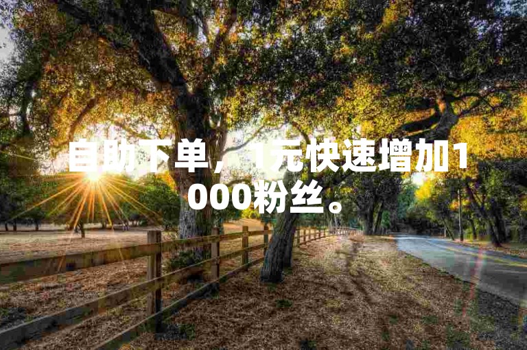 自助下单，1元快速增加1000粉丝。