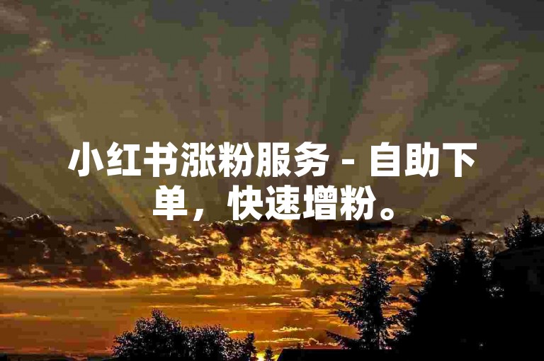 小红书涨粉服务 - 自助下单，快速增粉。