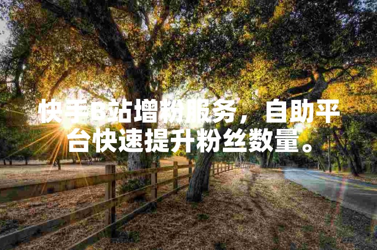 快手B站增粉服务，自助平台快速提升粉丝数量。
