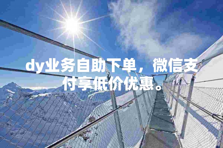 dy业务自助下单，微信支付享低价优惠。