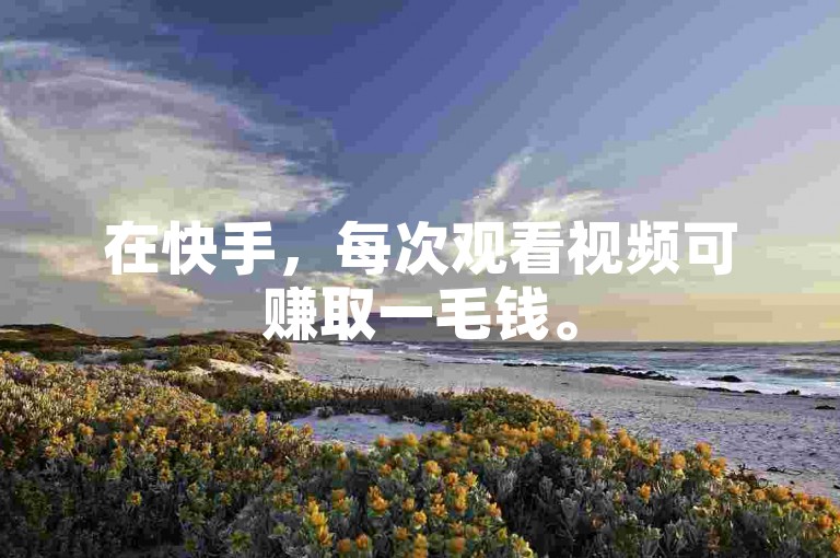 在快手，每次观看视频可赚取一毛钱。