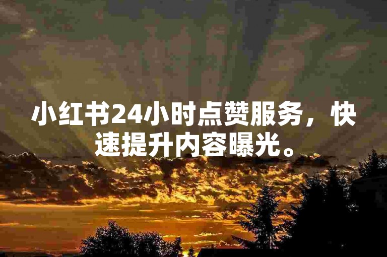 小红书24小时点赞服务，快速提升内容曝光。