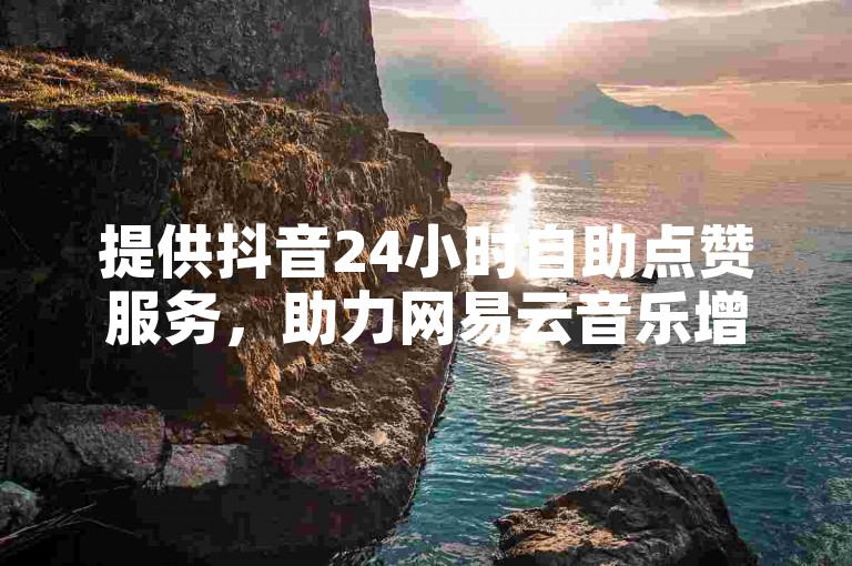 提供抖音24小时自助点赞服务，助力网易云音乐增加粉丝。