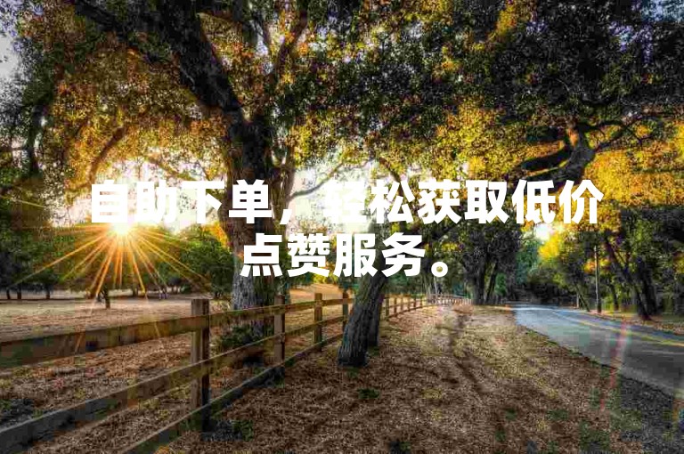 自助下单，轻松获取低价点赞服务。
