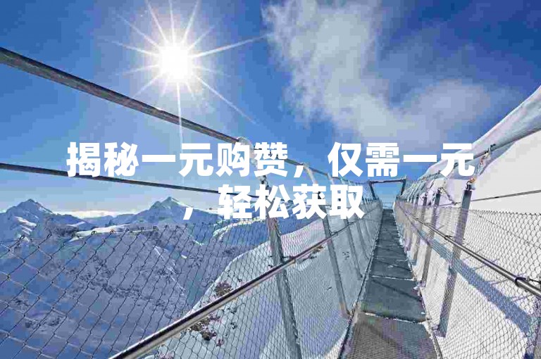揭秘一元购赞，仅需一元，轻松获取500个点赞！