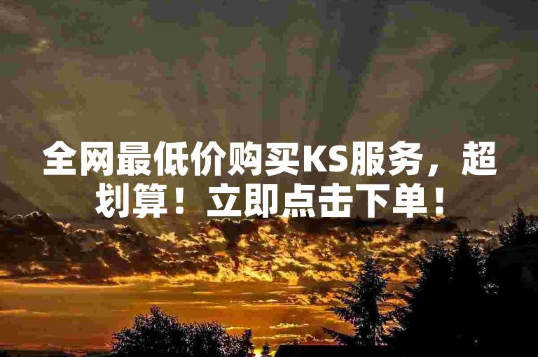 全网最低价购买KS服务，超划算！立即点击下单！