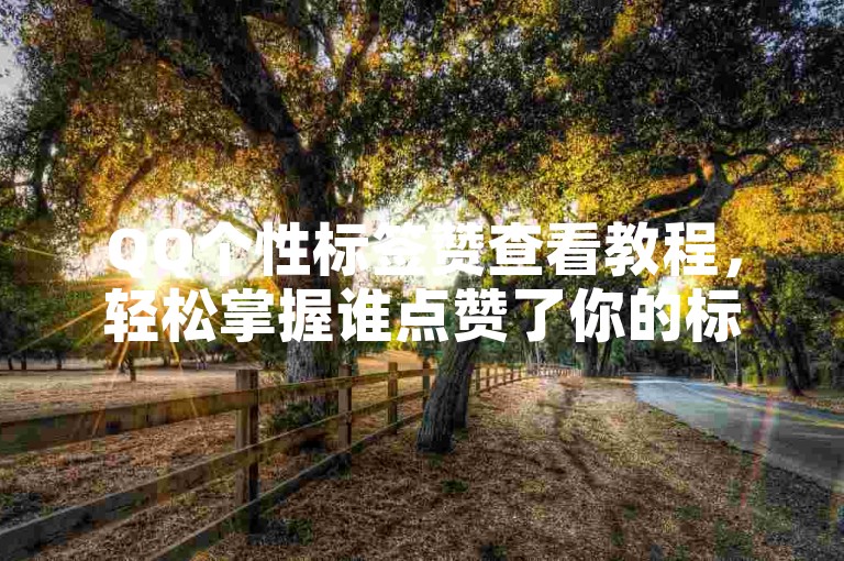 QQ个性标签赞查看教程，轻松掌握谁点赞了你的标签。