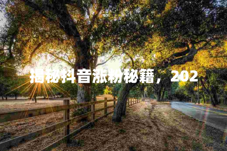 揭秘抖音涨粉秘籍，2025必学有效粉丝增长策略！